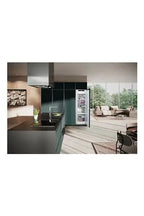 Congelador vertical Liebherr SIFNAD 5188 617 - Encastrado, 178 cm