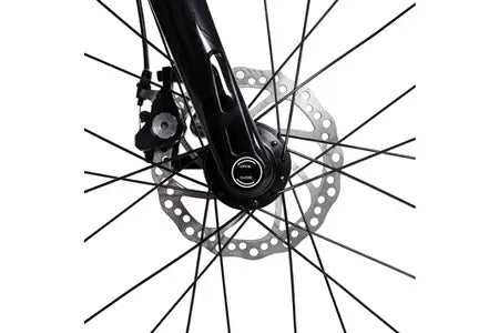 Bicicleta elétrica Carbo Model S 250W PAS 7Ah preta